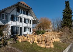 Richtig viel Holz vor dem Haus