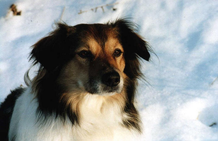 Richtig viel Schnee