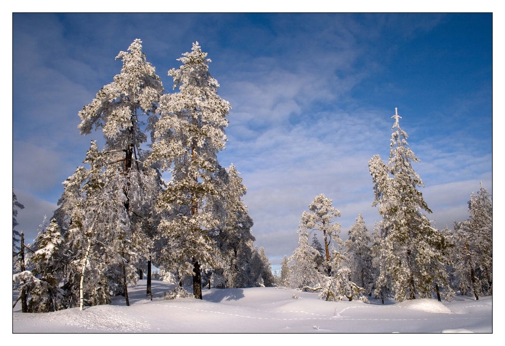 Richtig Winter...