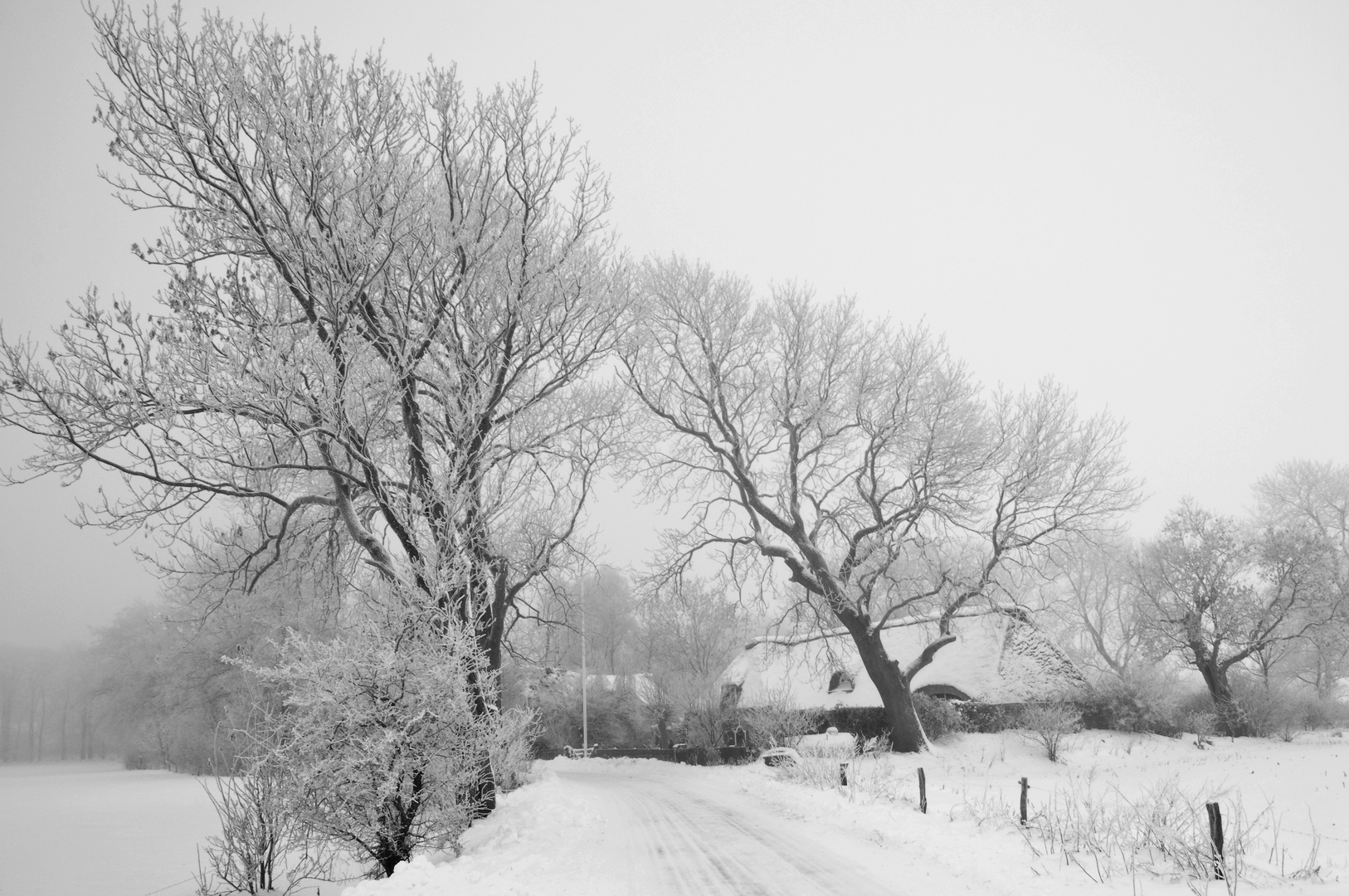 Richtig Winter!