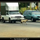 richtiges Verhalten im Strassenverkehr