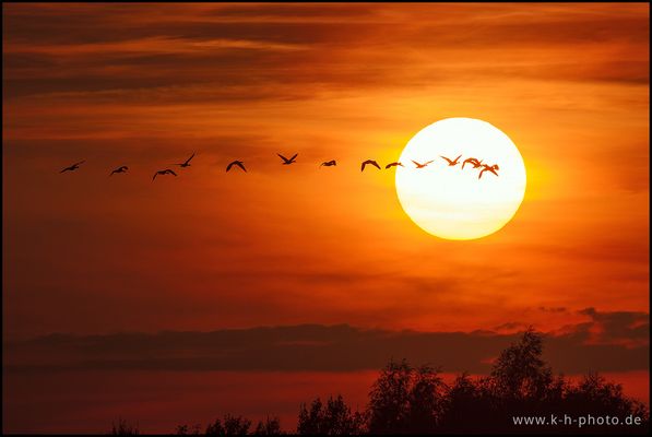 ...Richtung Abend - (B)rot.