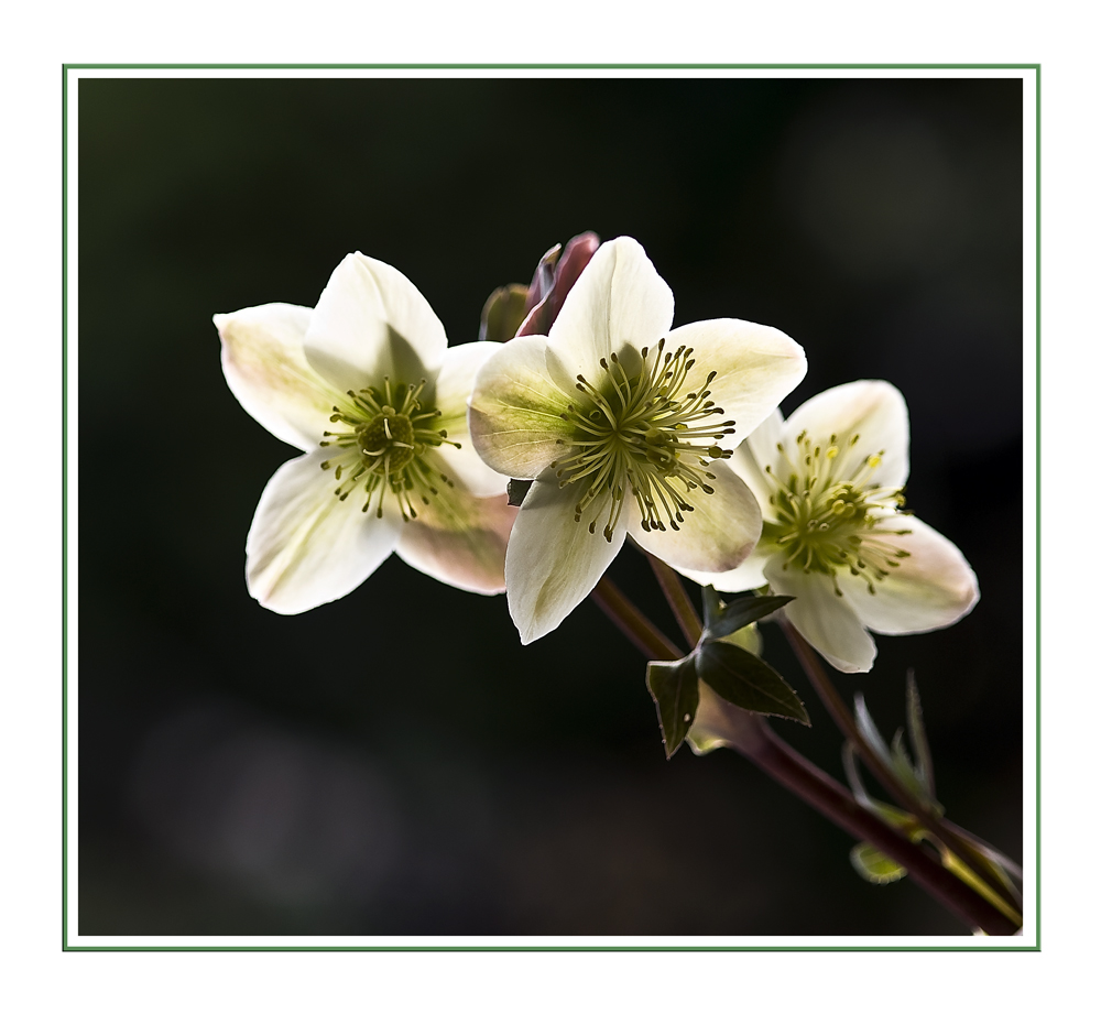 Richtung Frühling