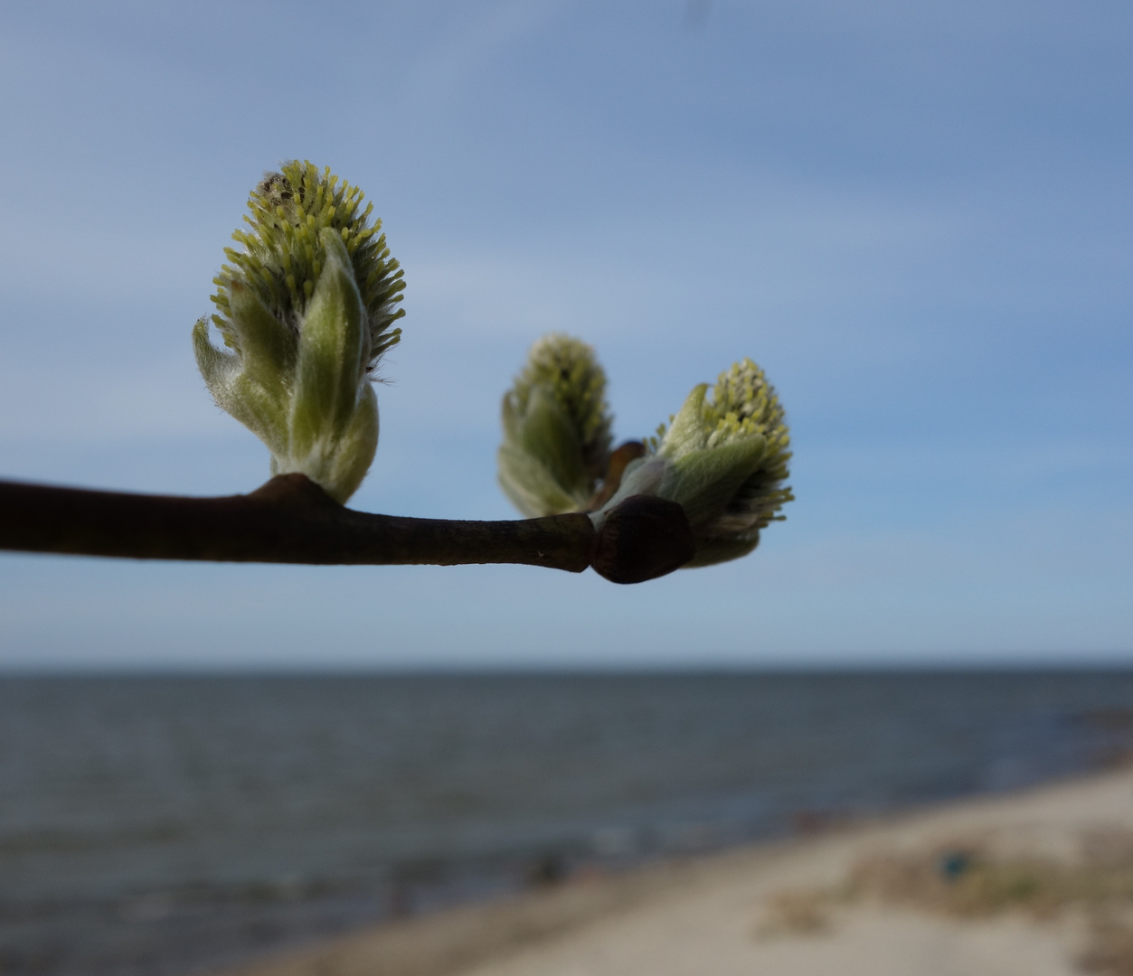 Richtung Frühling