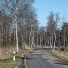 Richtung Frühling - Vers le printemps