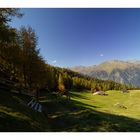 Richtung Gampenalm, Passeiertal, Südtirol