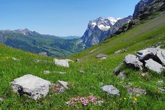 Richtung Grosse Scheidegg