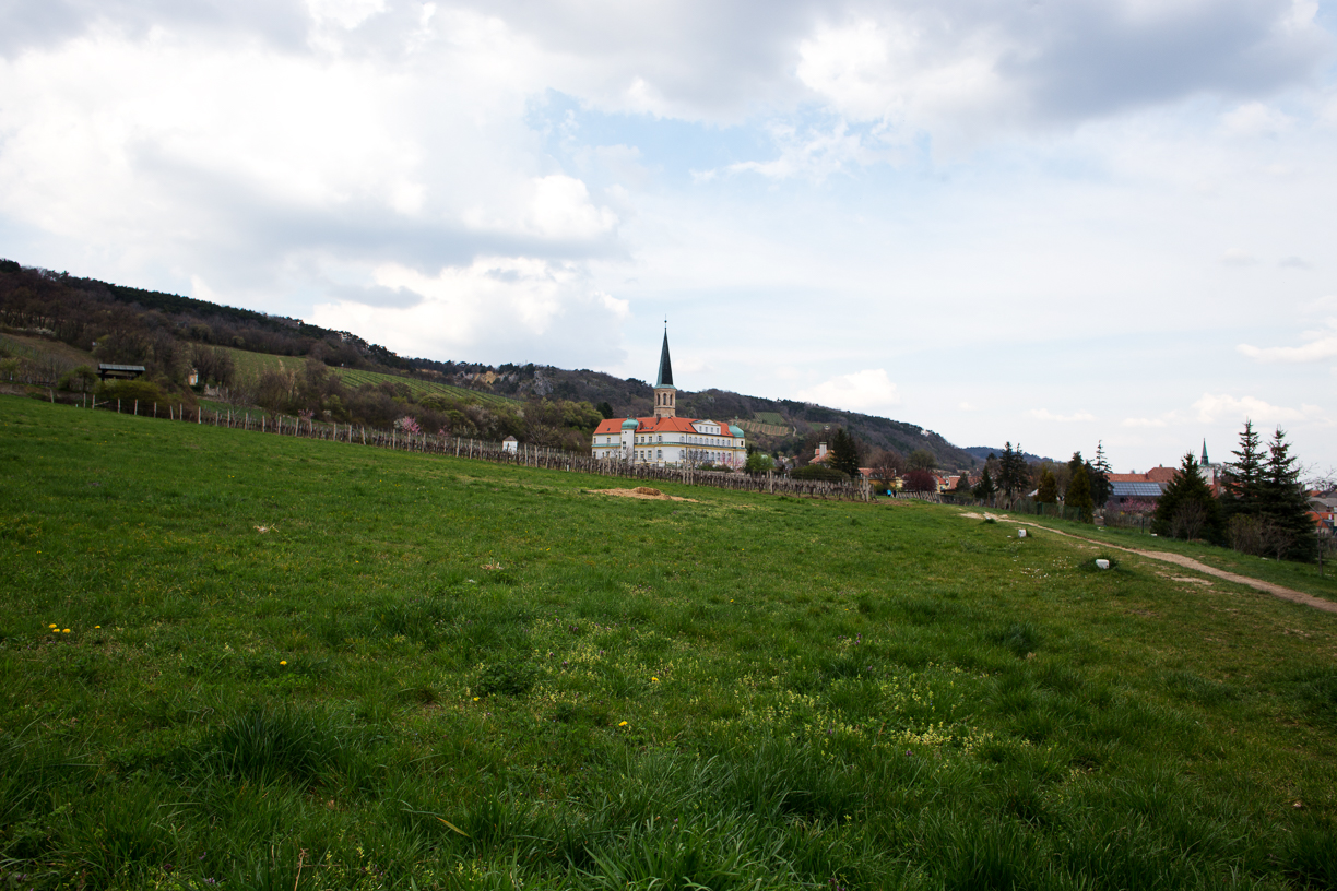 Richtung Gumpoldskirchen am Wiener-Hochquellenwasserweg