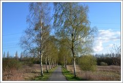 Richtung Harburger Berge