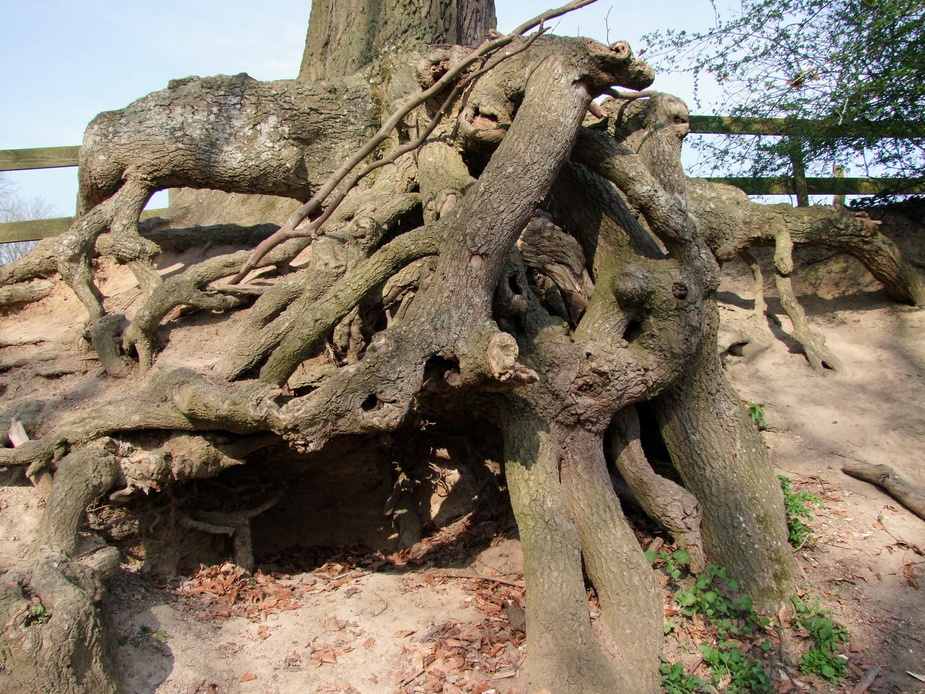 Richtung Hemmelsdorf