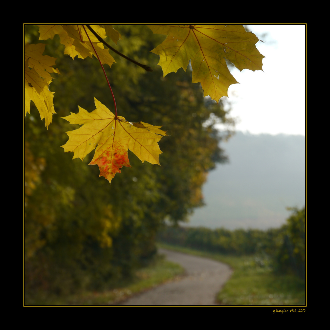 Richtung Herbst (2)