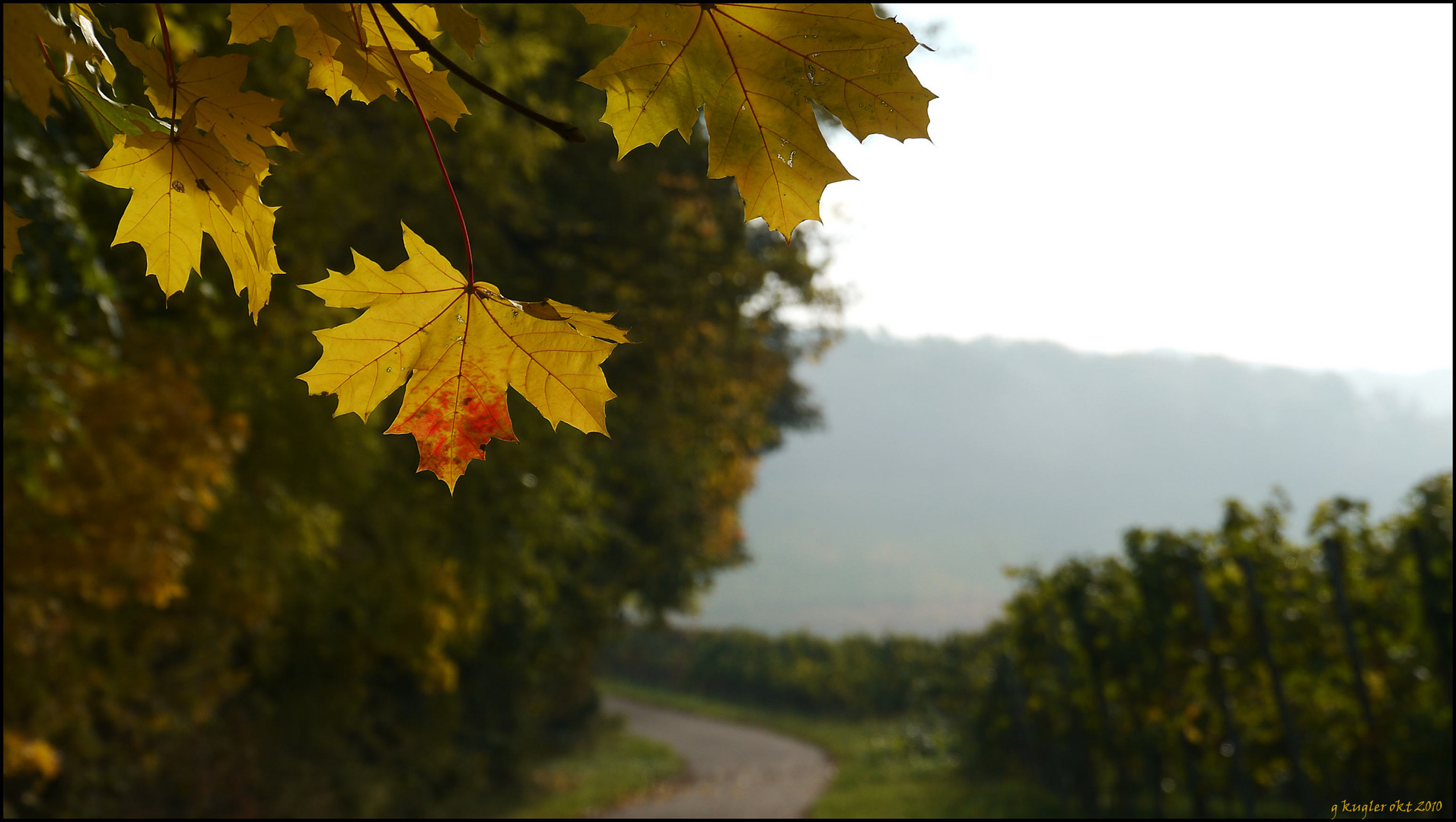 Richtung Herbst