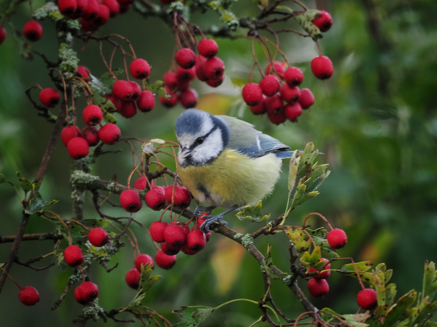 Richtung: Herbst