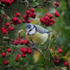 Richtung: Herbst