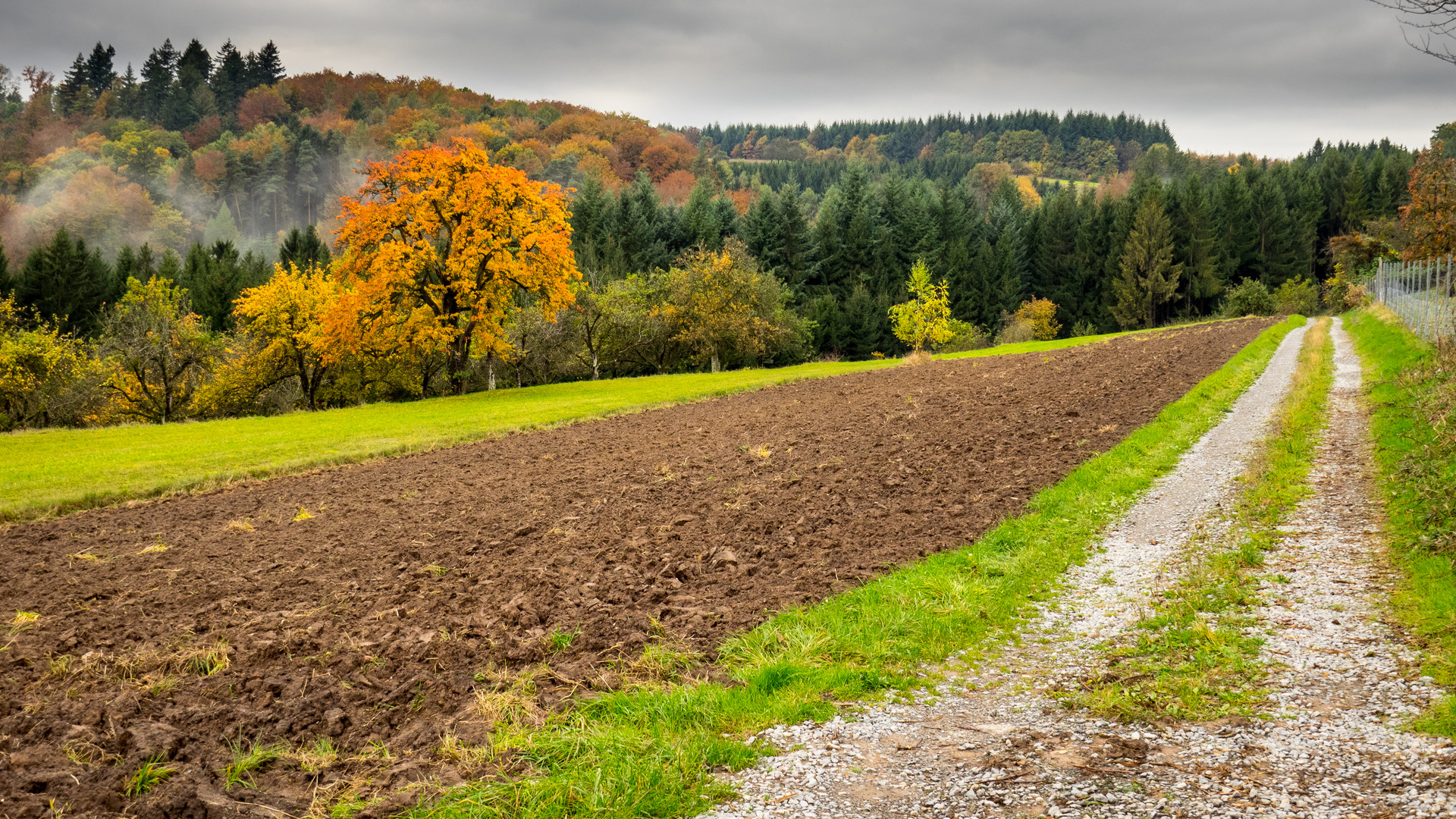 Richtung Herbst