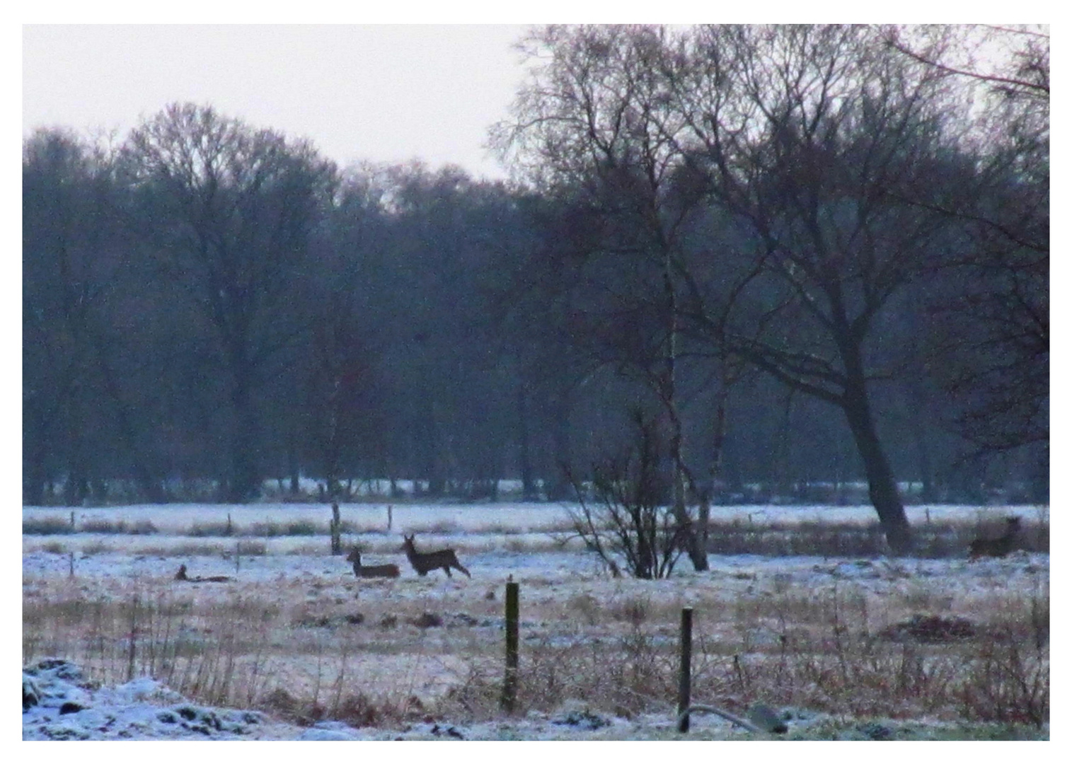 Richtung Moor geschaut ... 