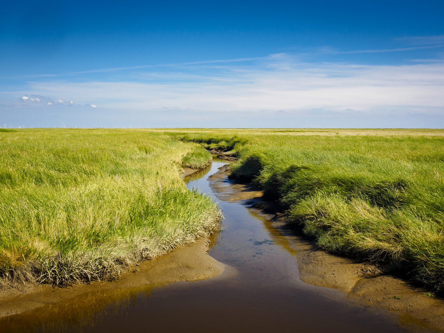 Richtung Nordsee Watt bei Westerhever