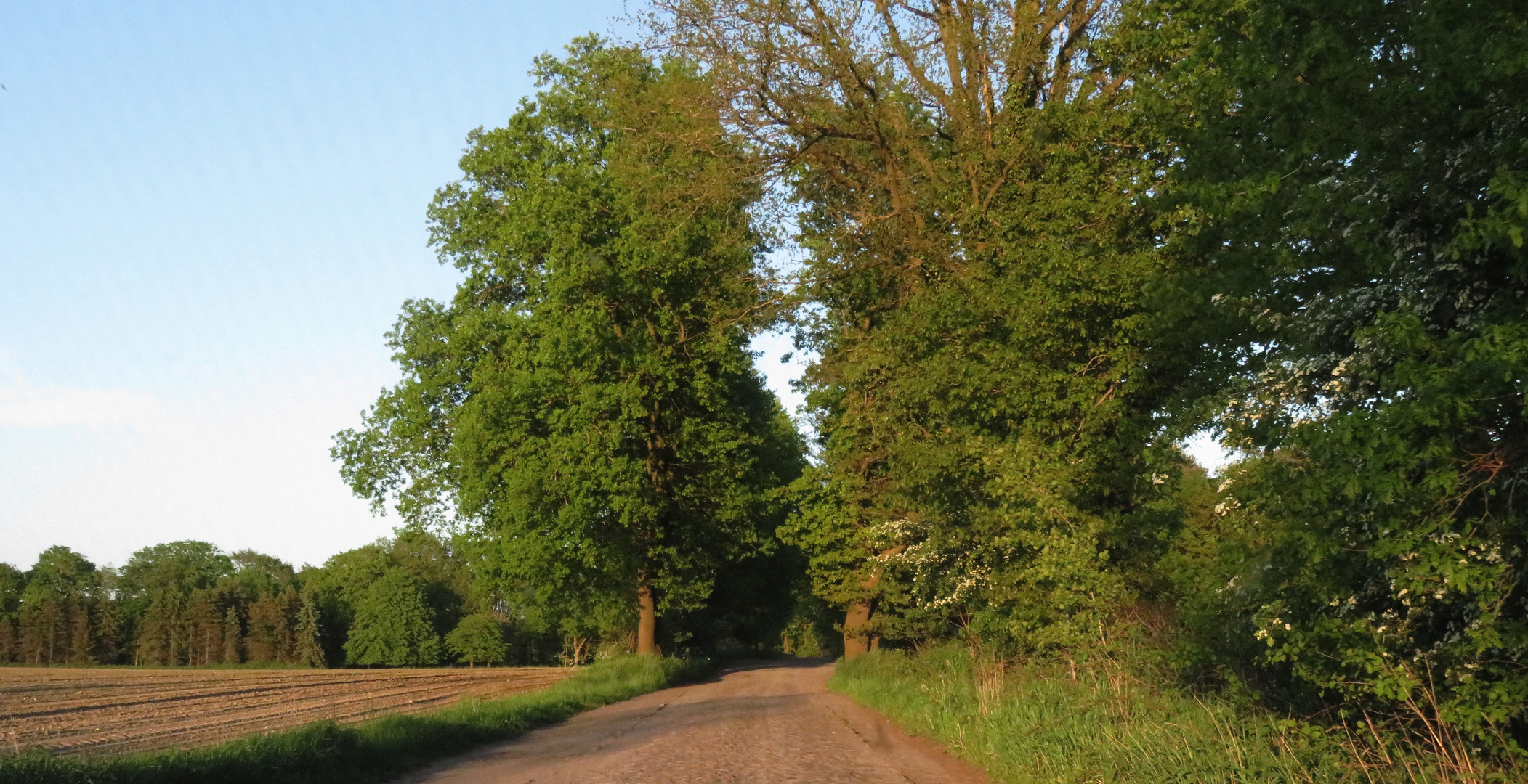 Richtung Osten 