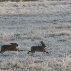 Richtung Ostern...