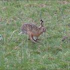 Richtung Ostern...