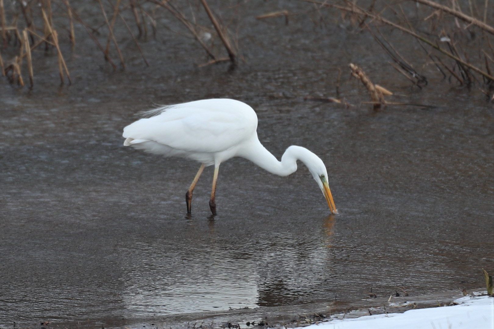 Richtung Polder