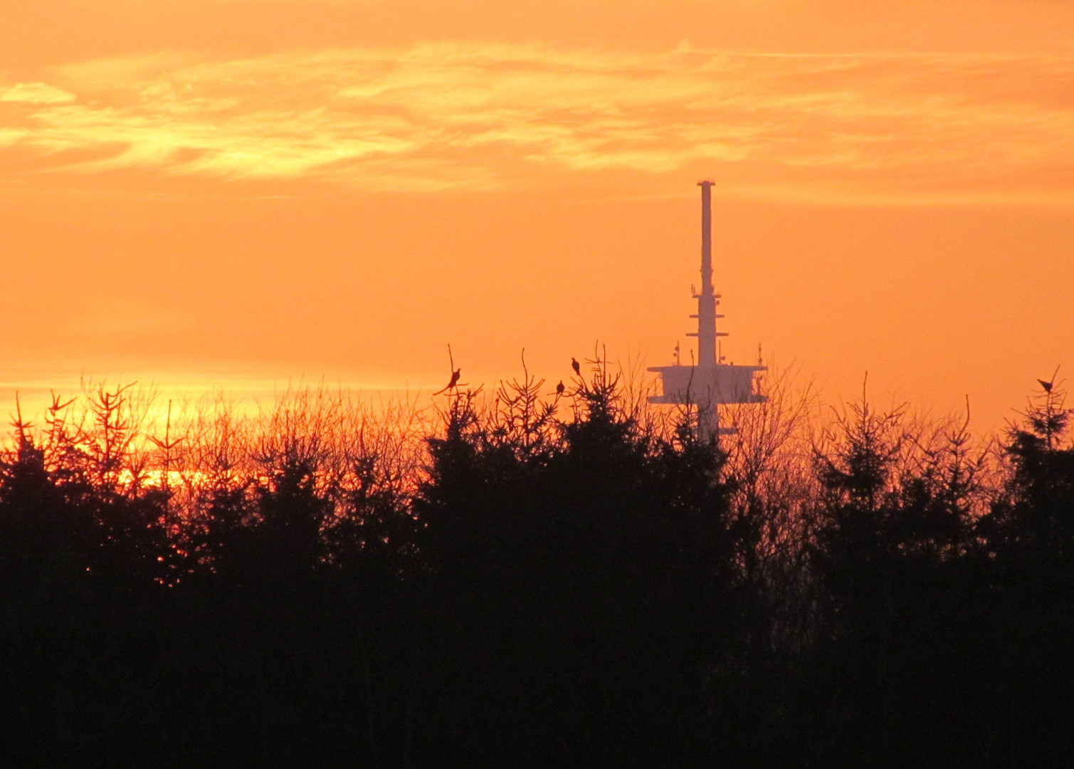 Richtung Sonnenuntergang .....................