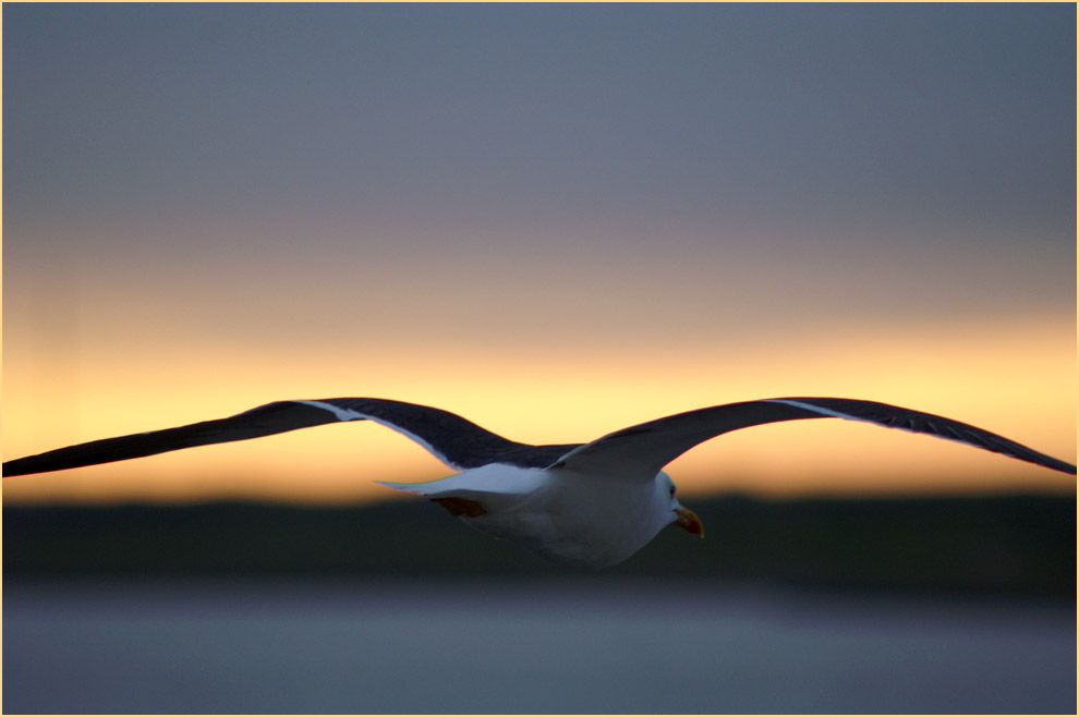 Richtung Texel