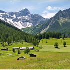 Richtung untere Brüggele-Alpe  2021-06-27  Panorama
