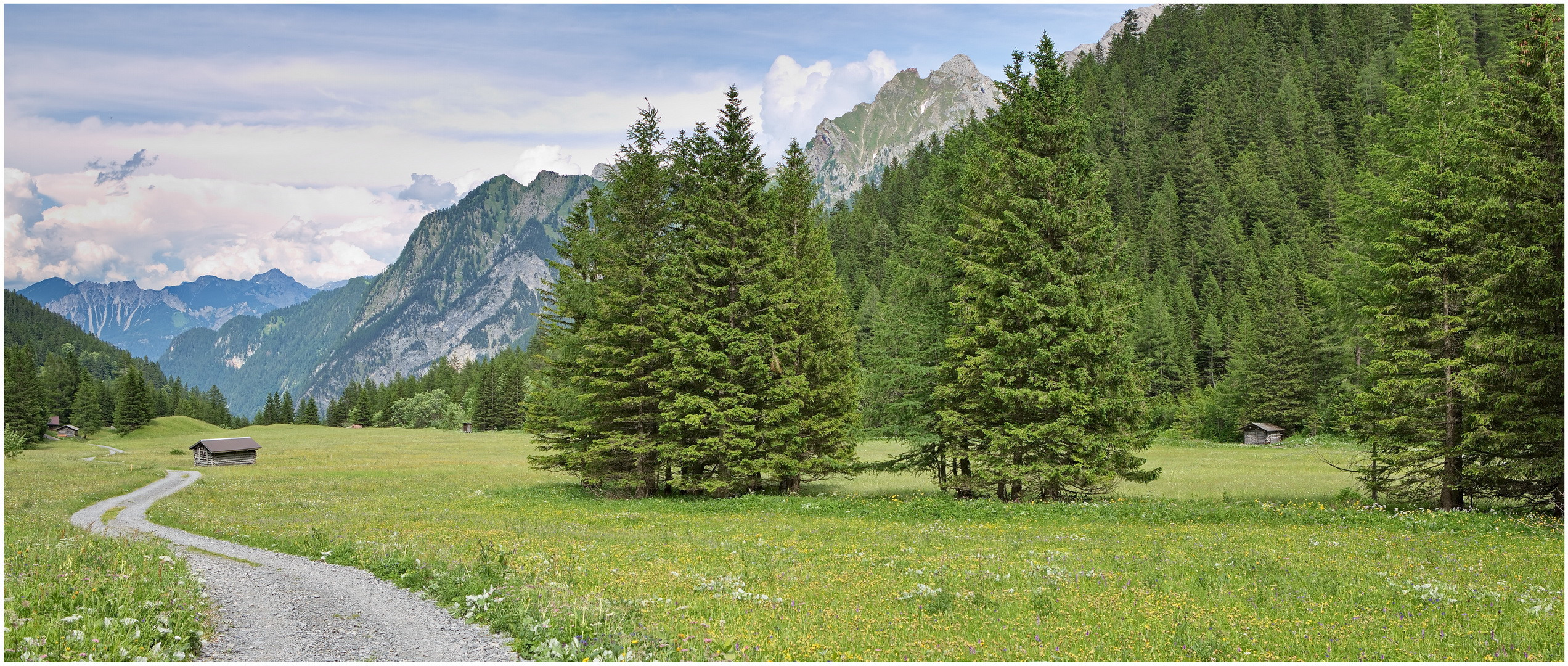 Richtung untere Brüggele-Alpe 2021-06-27 Weg mit Hütten