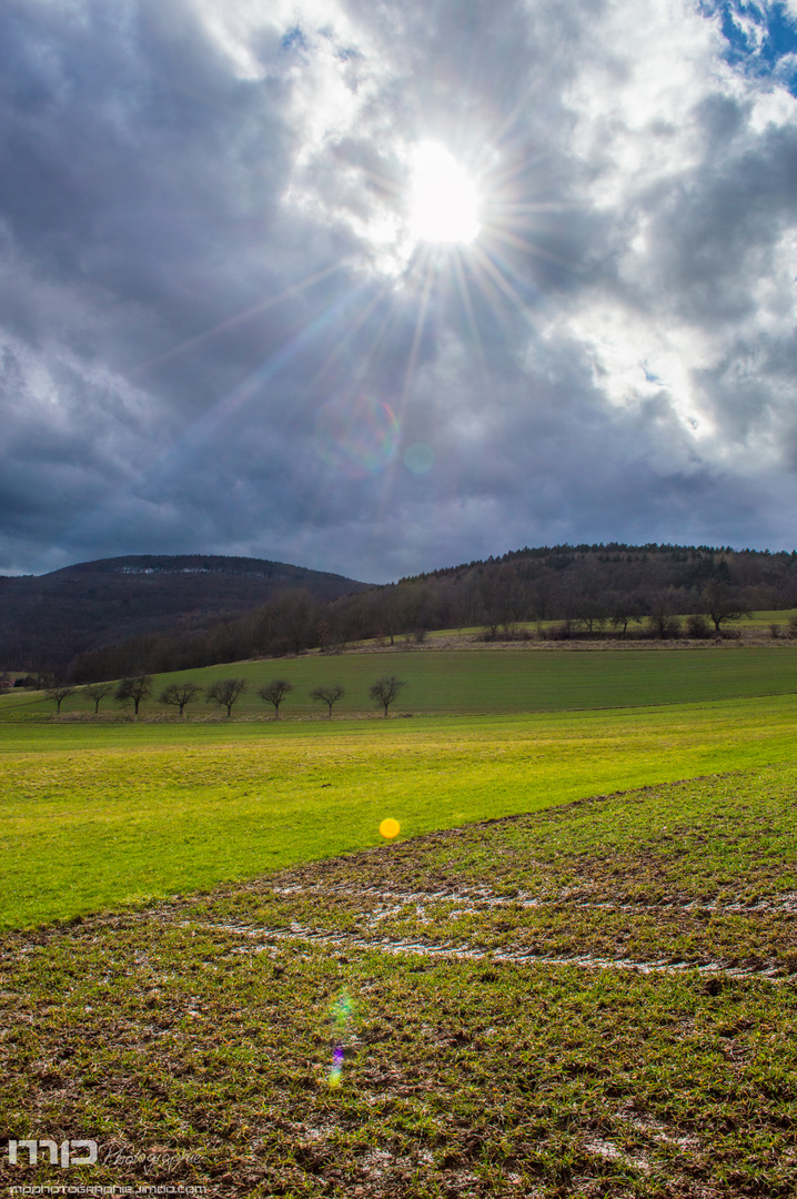 Richtung Wald...