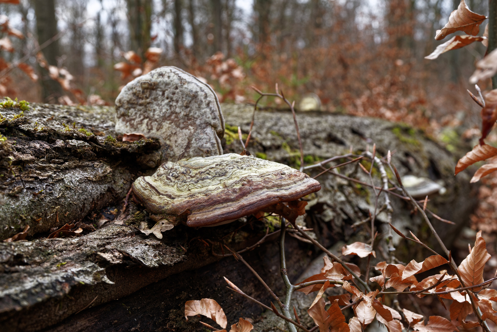 Richtungswechsel nach dem Fall