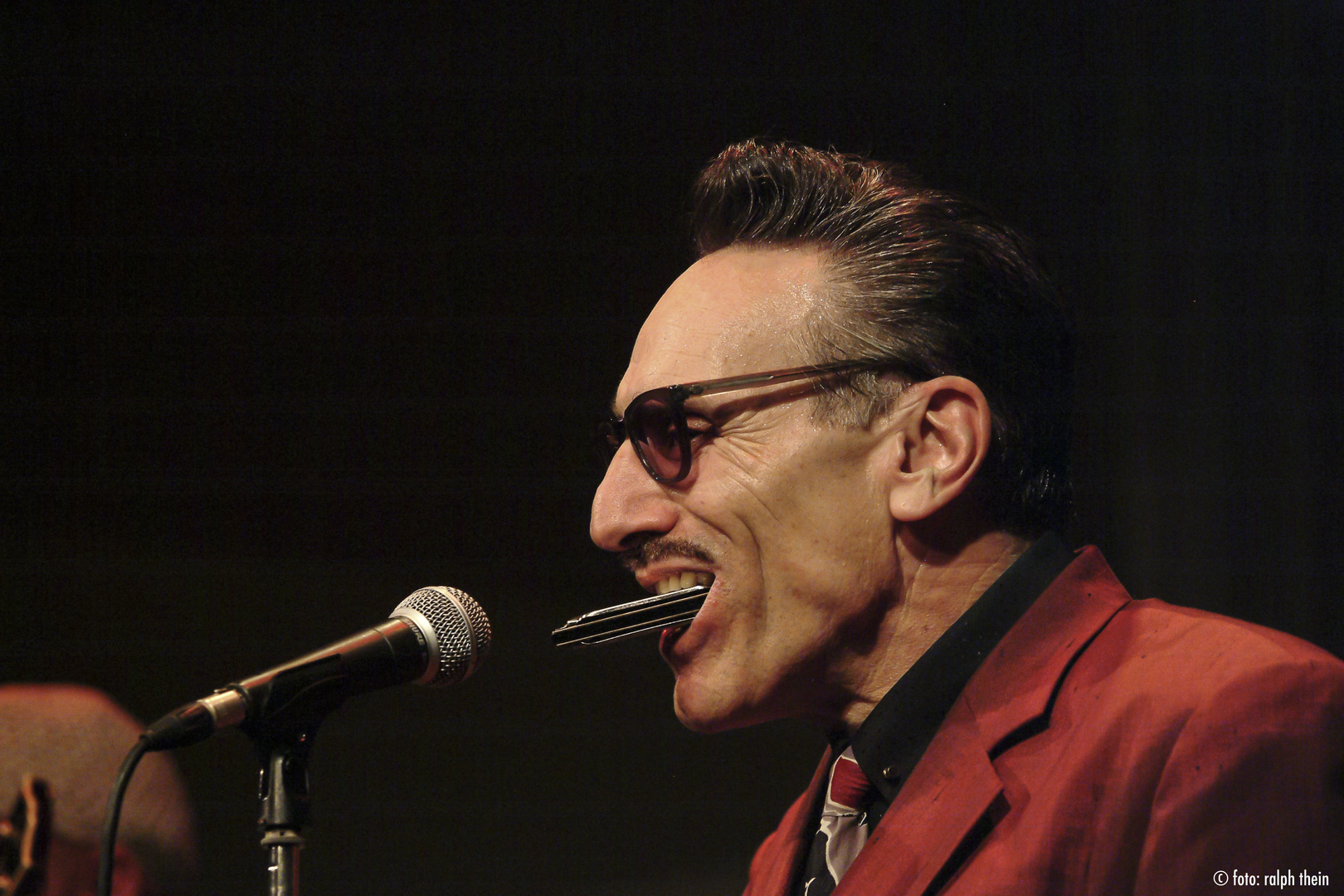 Rick Estrin mit Harp