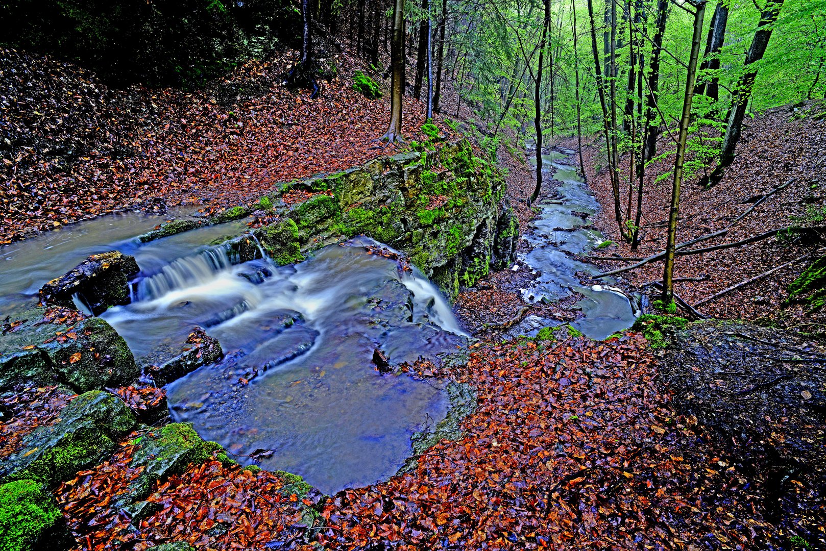 Rickbachtal im Lipperland