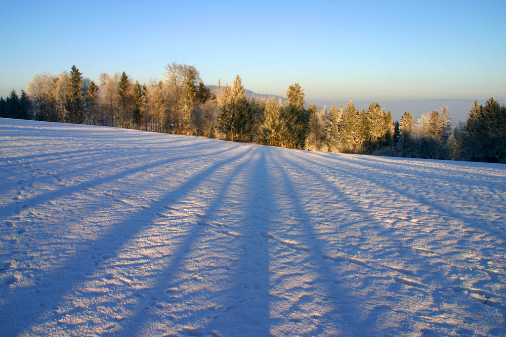 Rickenbach Buttenberg