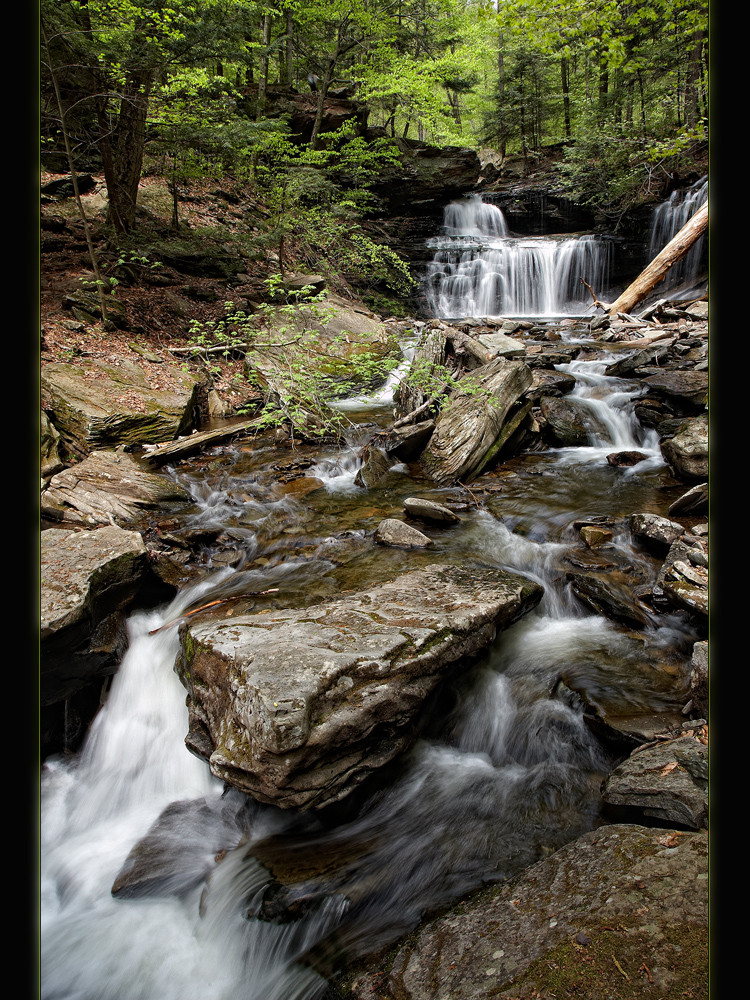 Rickett's Glen