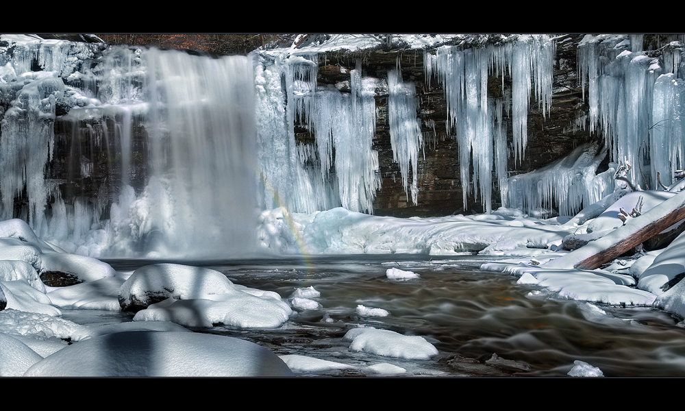 Rickett's Glen