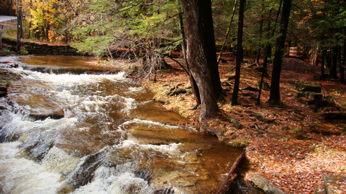 Ricketts Glen State Park, PA