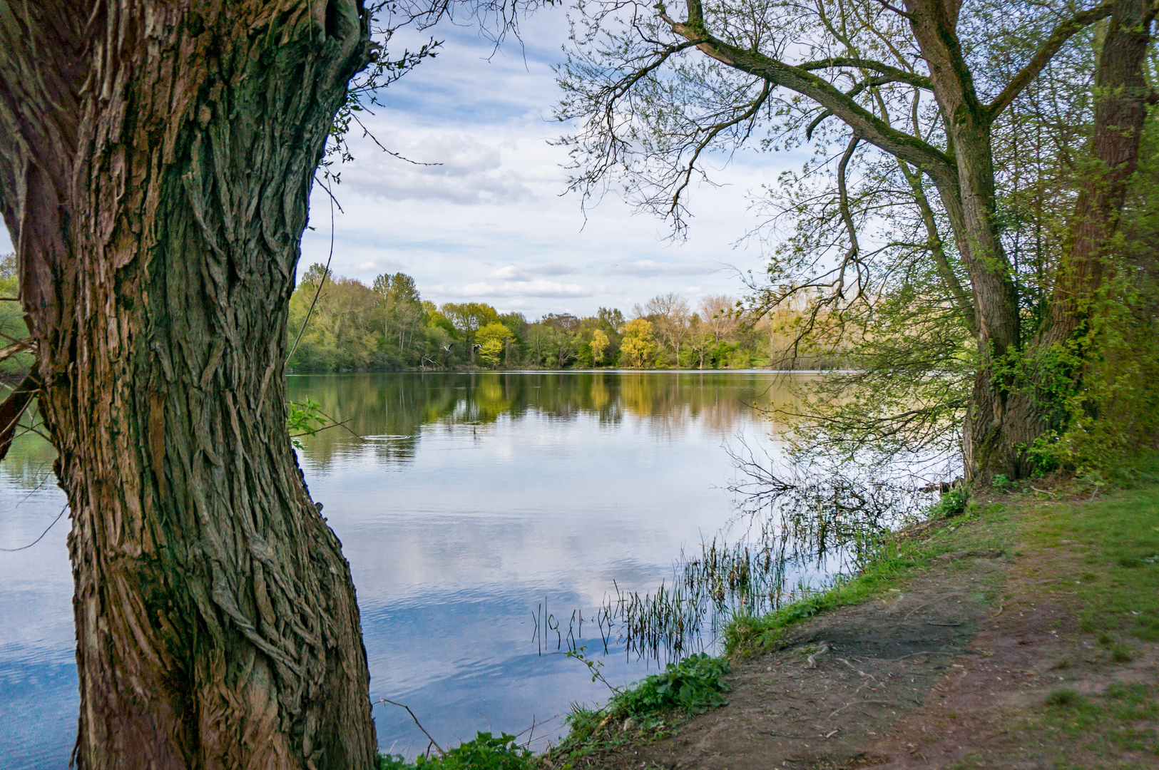 Ricklinger Kiesteiche I Hannover Foto & Bild hannover, teich