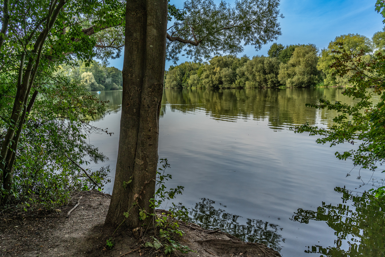 Ricklinger Kiesteiche I Hannover Foto & Bild landschaft, bach