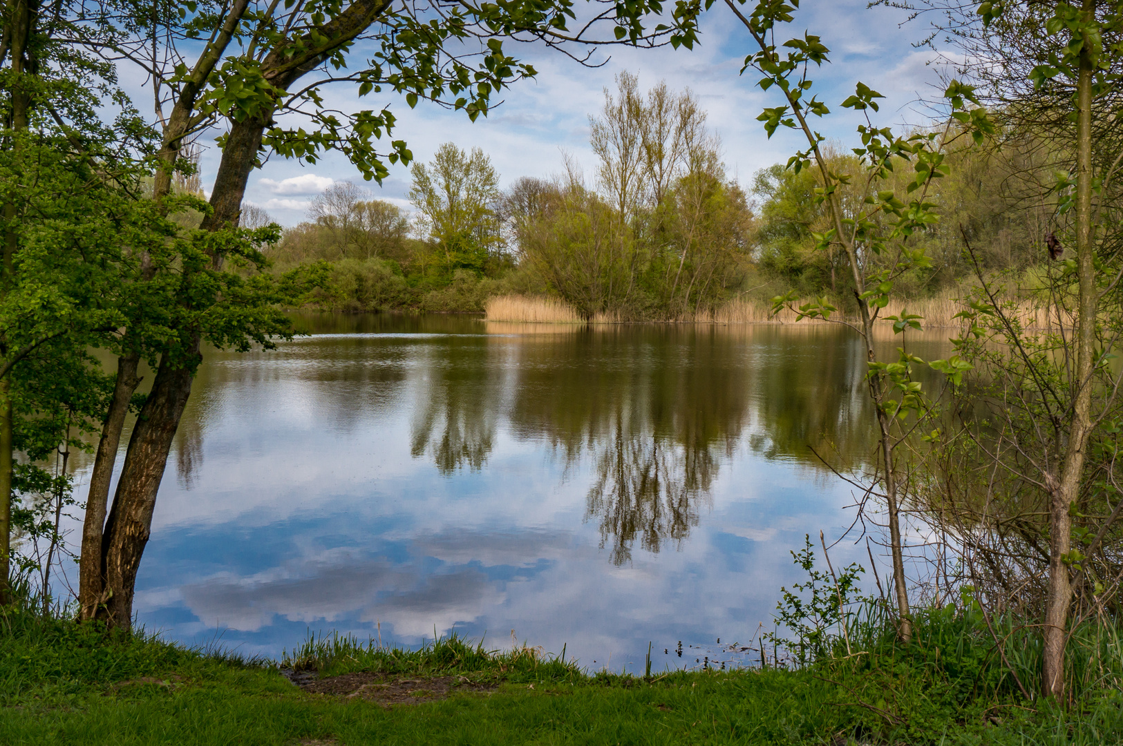 Ricklinger Kiesteiche III Hannover Foto & Bild hannover, teich