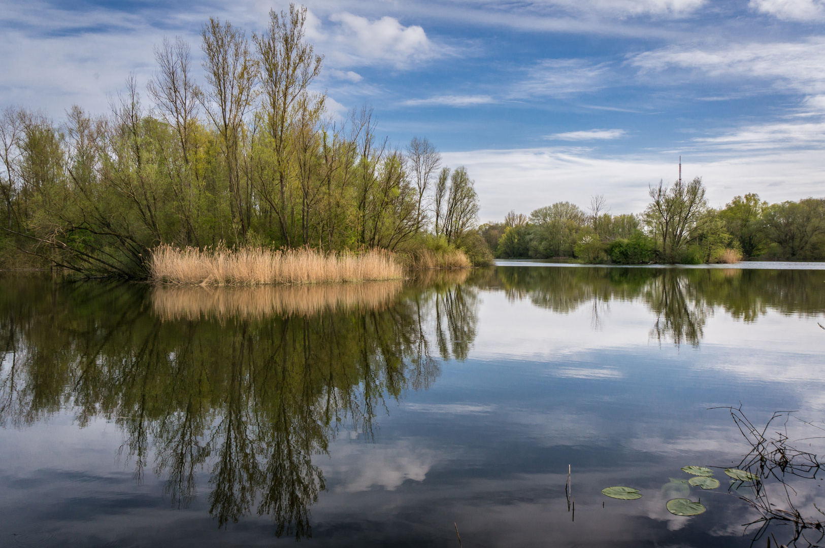 Ricklinger Kiesteiche IV - Hannover