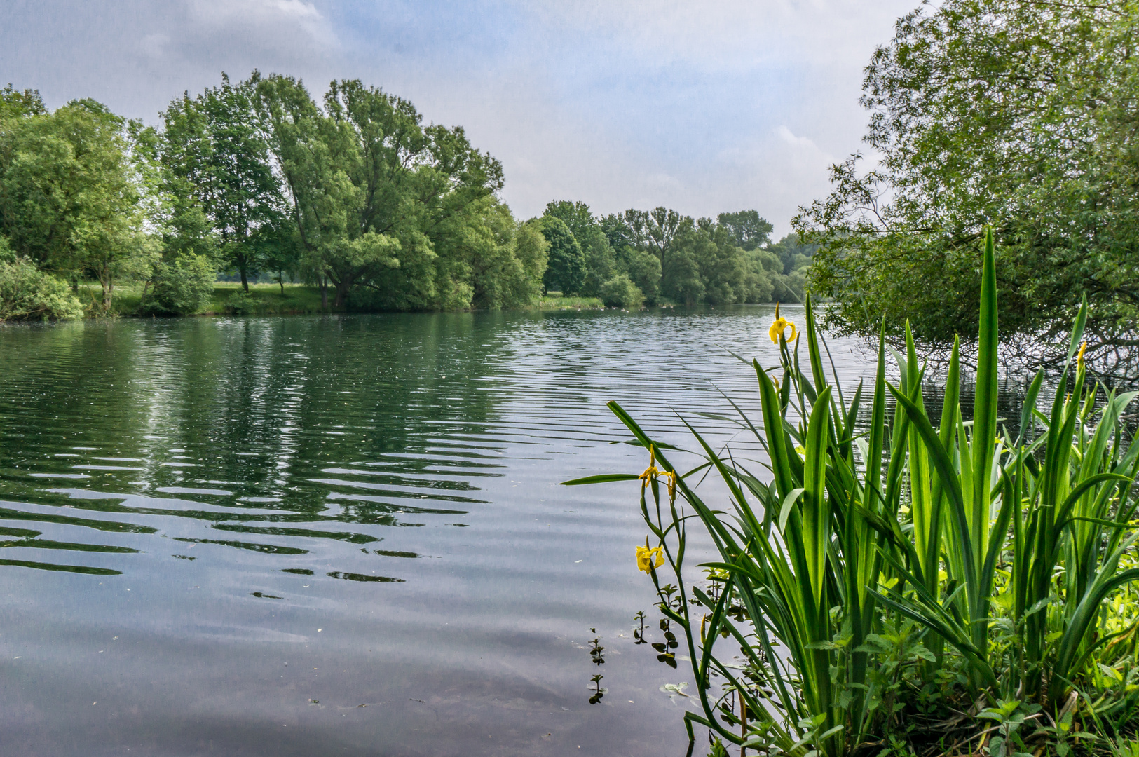 Ricklinger Kiesteiche XI - Hannover