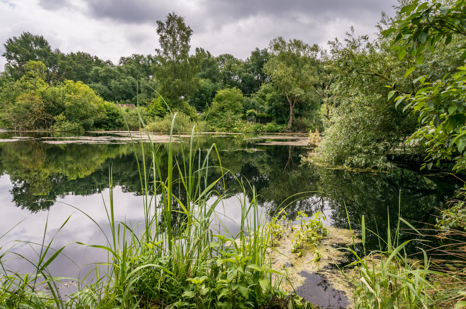 Ricklinger Kiesteiche XIV Hannover Foto & Bild hannover, wasser