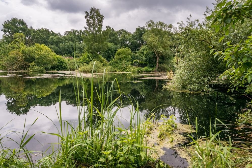Ricklinger Kiesteiche XIV Hannover Foto & Bild hannover, wasser
