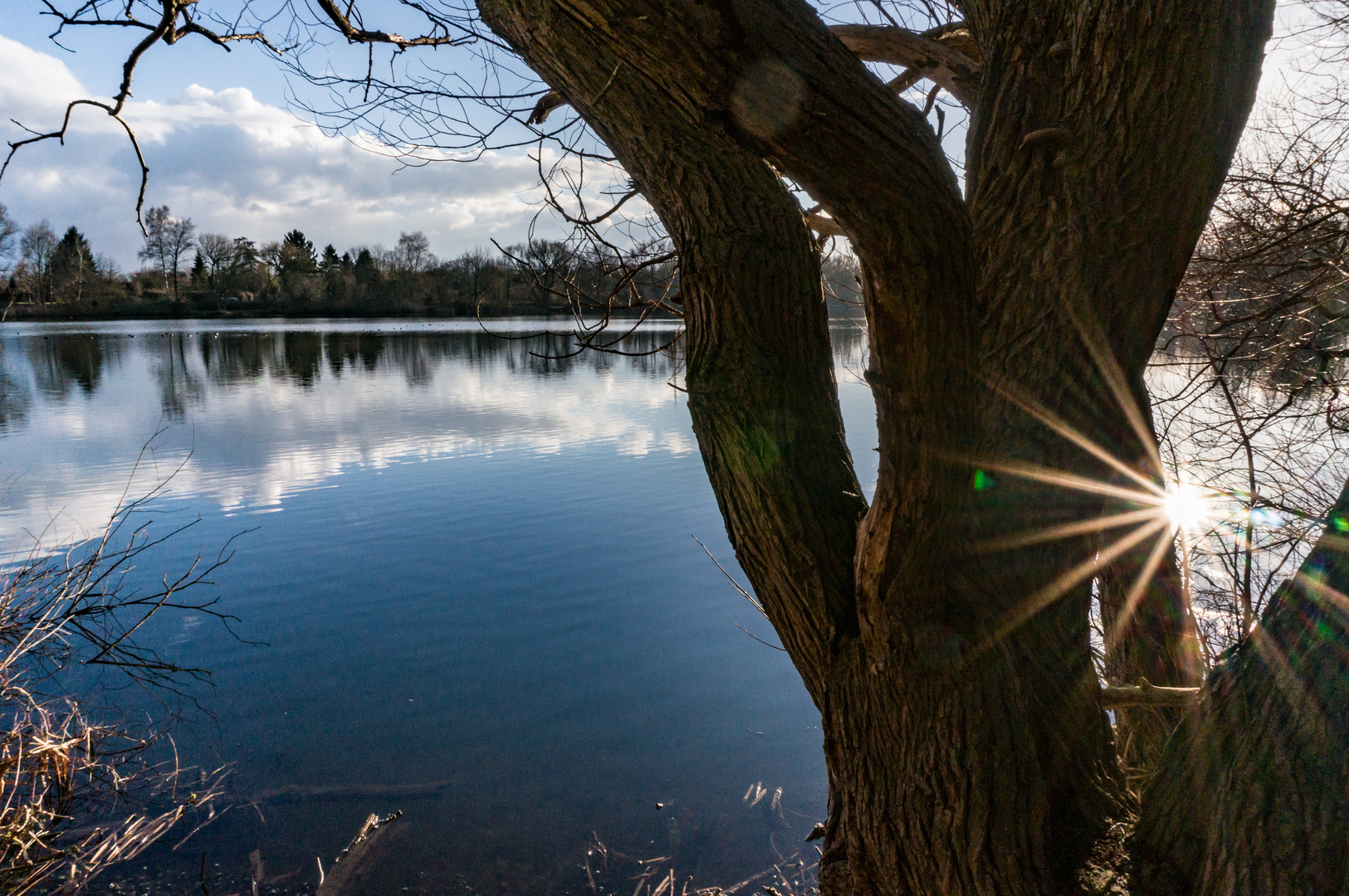 Ricklinger Teich III - Hannover