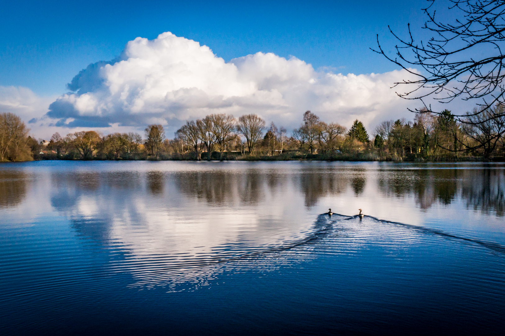 Ricklinger Teich IV - Hannover