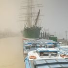 Rickmer Rickmers im Nebel ...am frühen Morgen gegen 5.30h