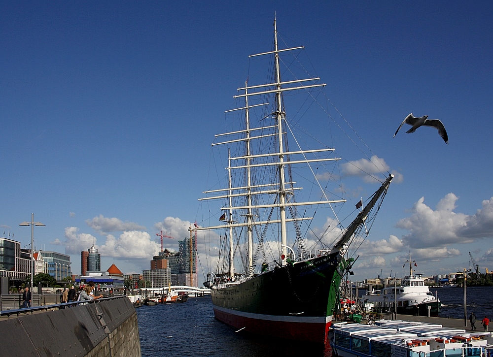 Rickmer Rickmers mit Möwe