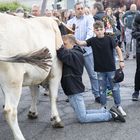 Riconoscimento per la vittoria