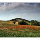 Ricordando la Primavera